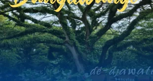 Wisata Banyuwangi 3 Hari 2 Malam Santai Dan Tidak Melelahkan