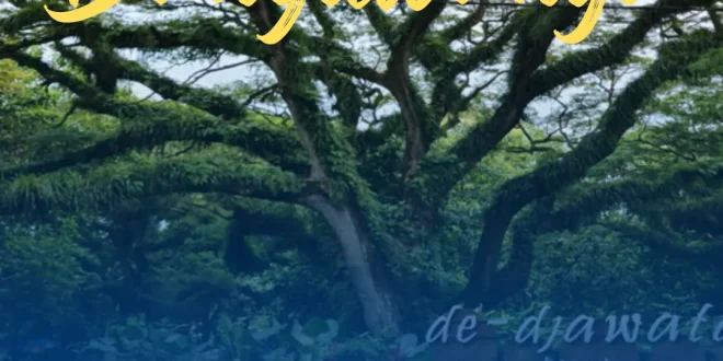 Wisata Banyuwangi 3 Hari 2 Malam Santai Dan Tidak Melelahkan